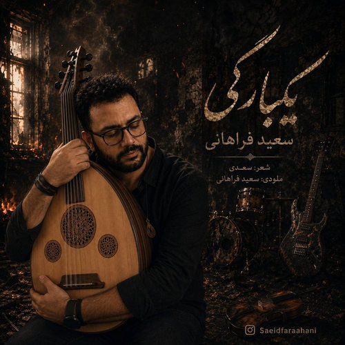 دانلود آهنگ یکبارگی از سعید فراهانی