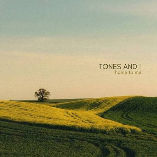 دانلود آهنگ Home To Me از Tones And I