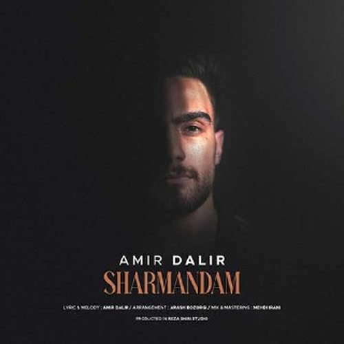 دانلود آهنگ شرمندم از امیر دلیر