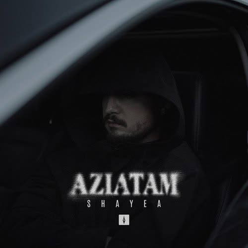 دانلود آهنگ اذیتم از شایع