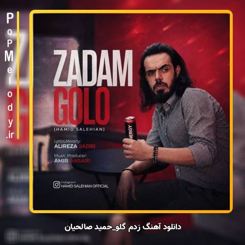 دانلود آهنگ زدم گلو از حمید صالحیان