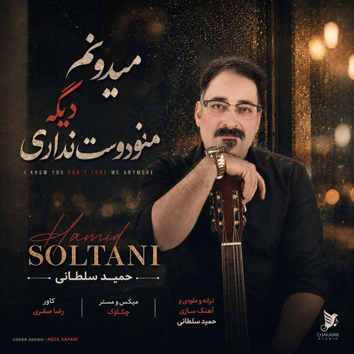 دانلود آهنگ میدونم دیگه منو دوست نداری از حمید سلطانی