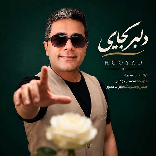 دانلود آهنگ دلبر کجایی از هویاد
