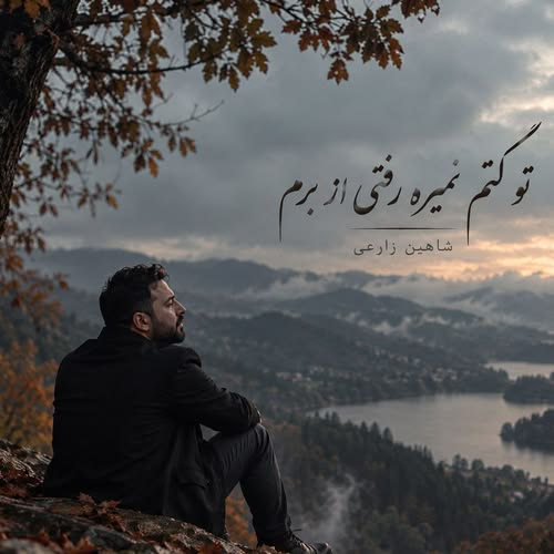 دانلود آهنگ تو کتم نمیره رفتی از برم از شاهین زارعی