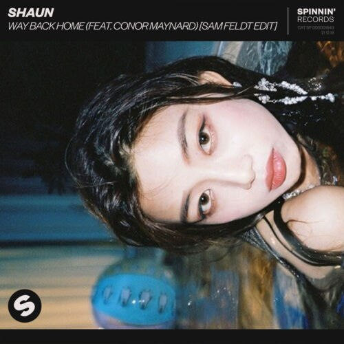 دانلود آهنگ Way Back Home از Shaun