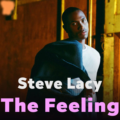 دانلود آهنگ د فیلینگ The Feeling از استیو لیسی Steve Lacy